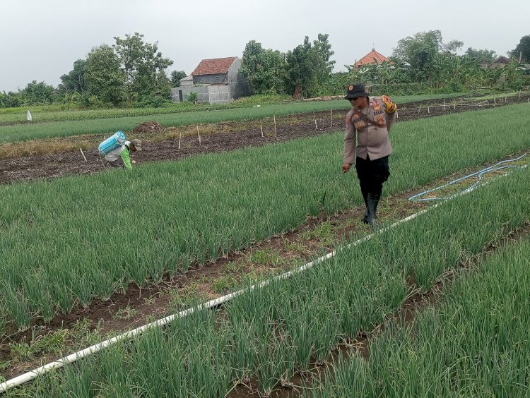 Polisi Cinta Petani: Polresta Sidoarjo Dampingi Warga Kelola Pekarangan Produktif